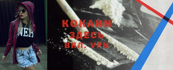 PSILOCYBIN Зеленодольск