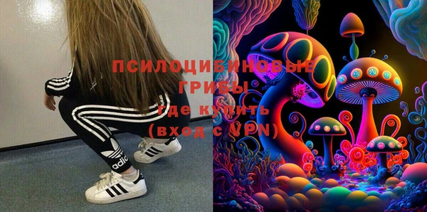 PSILOCYBIN Зеленодольск