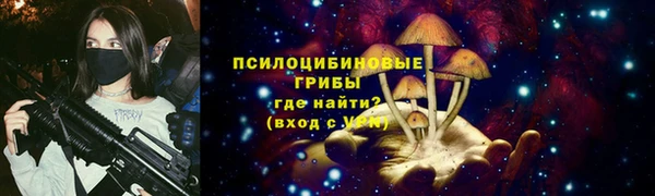PSILOCYBIN Зеленодольск