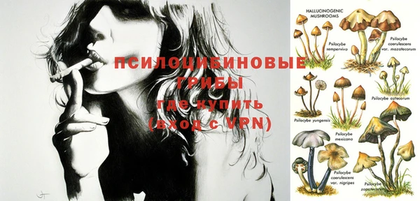 PSILOCYBIN Зеленодольск