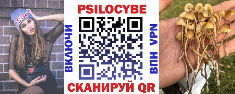 Купить где  Калтан  Галлюциногенные грибы GOLDEN TEACHER 
